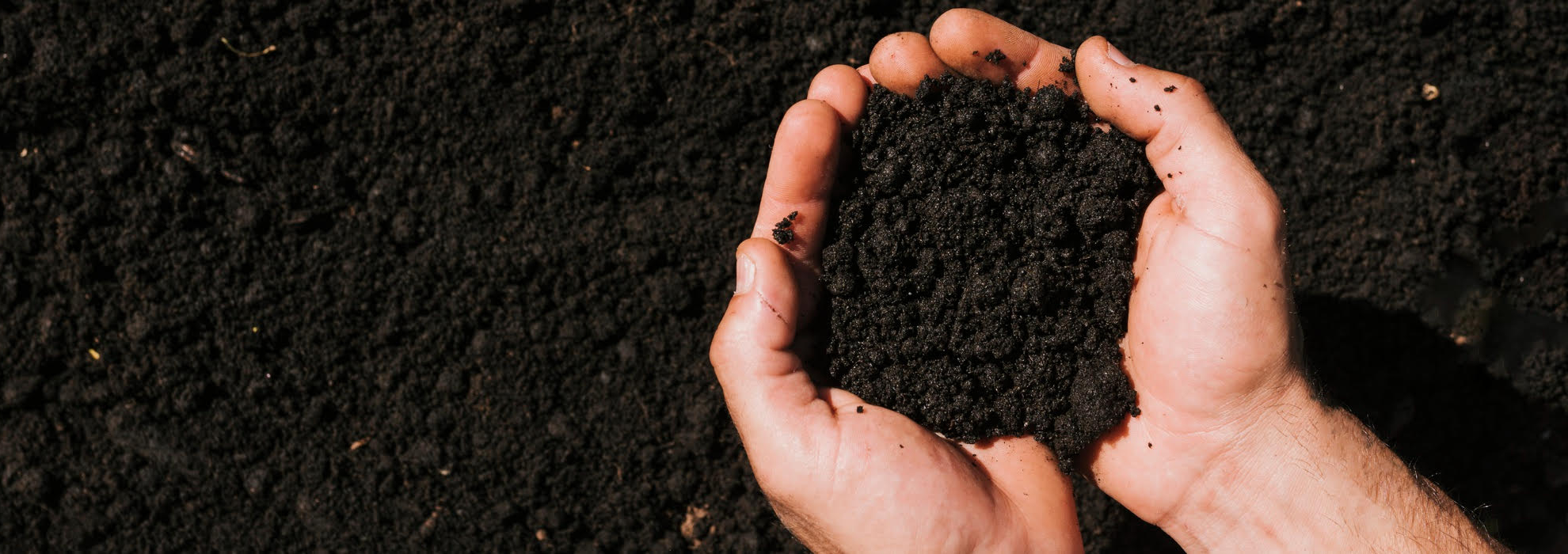 Mulch production